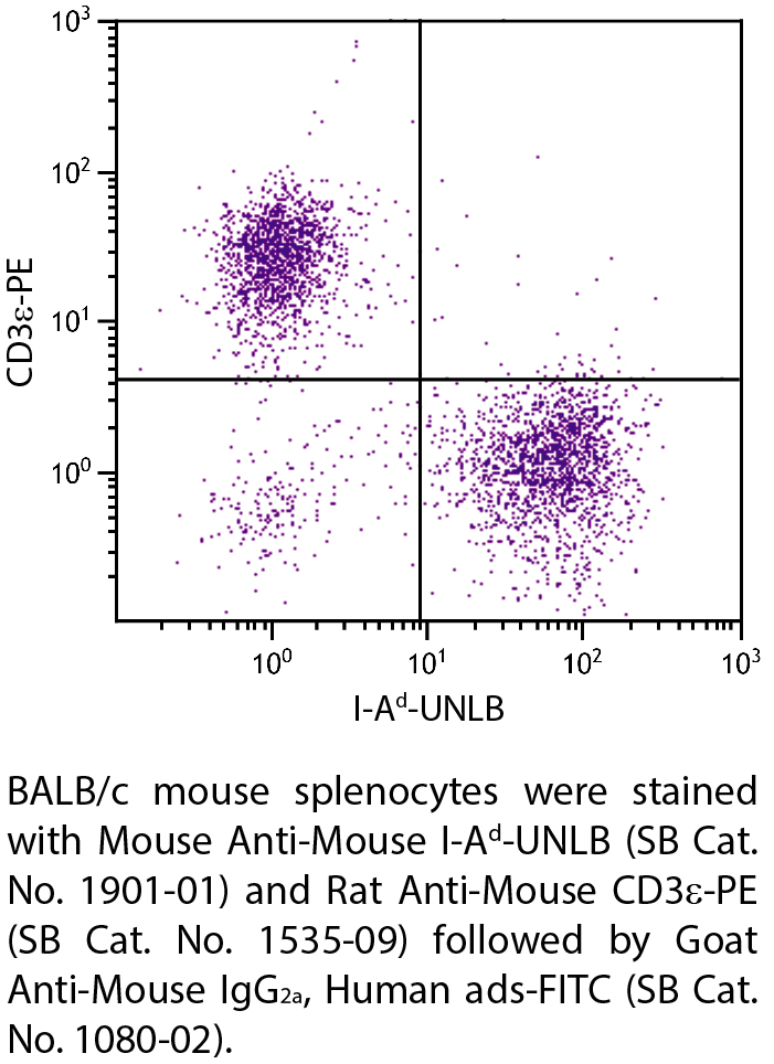 Mouse Anti-Mouse I-Ad-UNLB - 0.5 mg