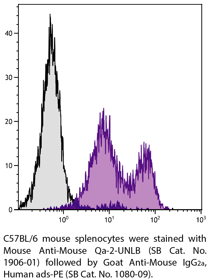 Mouse Anti-Mouse Qa-2-UNLB - 0.5 mg