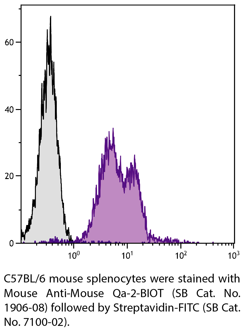 Mouse Anti-Mouse Qa-2-BIOT - 0.5 mg