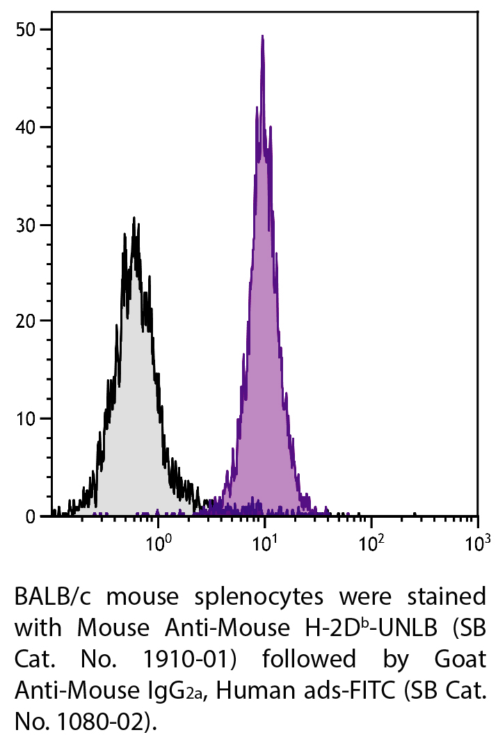 Mouse Anti-Mouse H-2Db-UNLB - 0.5 mg