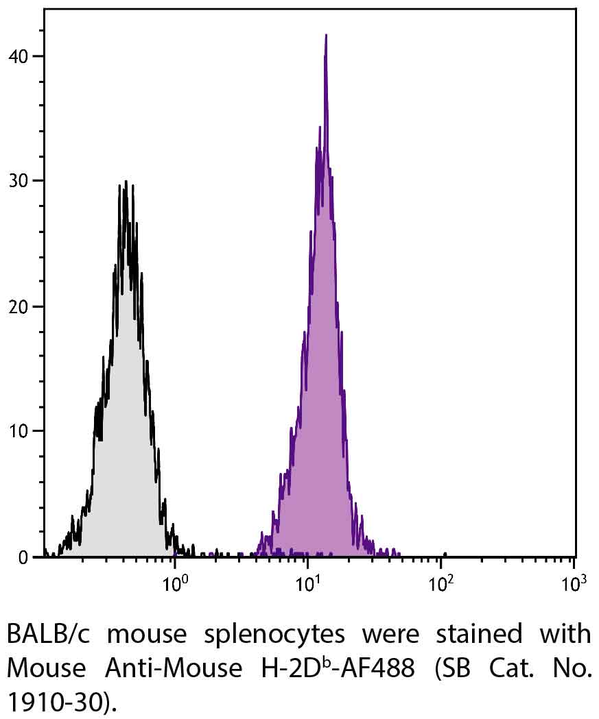 Mouse Anti-Mouse H-2Db-AF488 - 0.1 mg