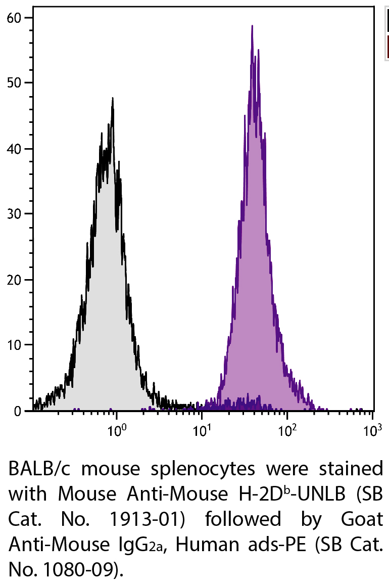 Mouse Anti-Mouse H-2Db-UNLB - 0.5 mg