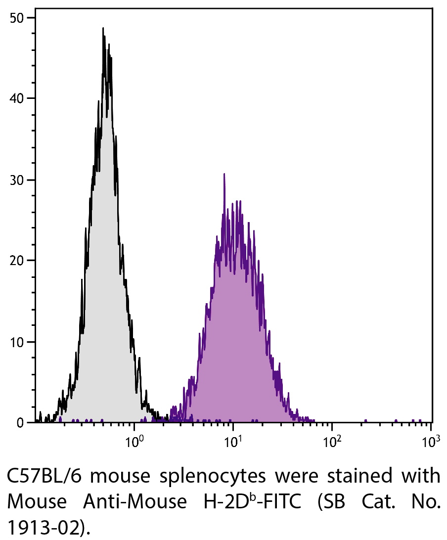 Mouse Anti-Mouse H-2Db-FITC - 0.5 mg