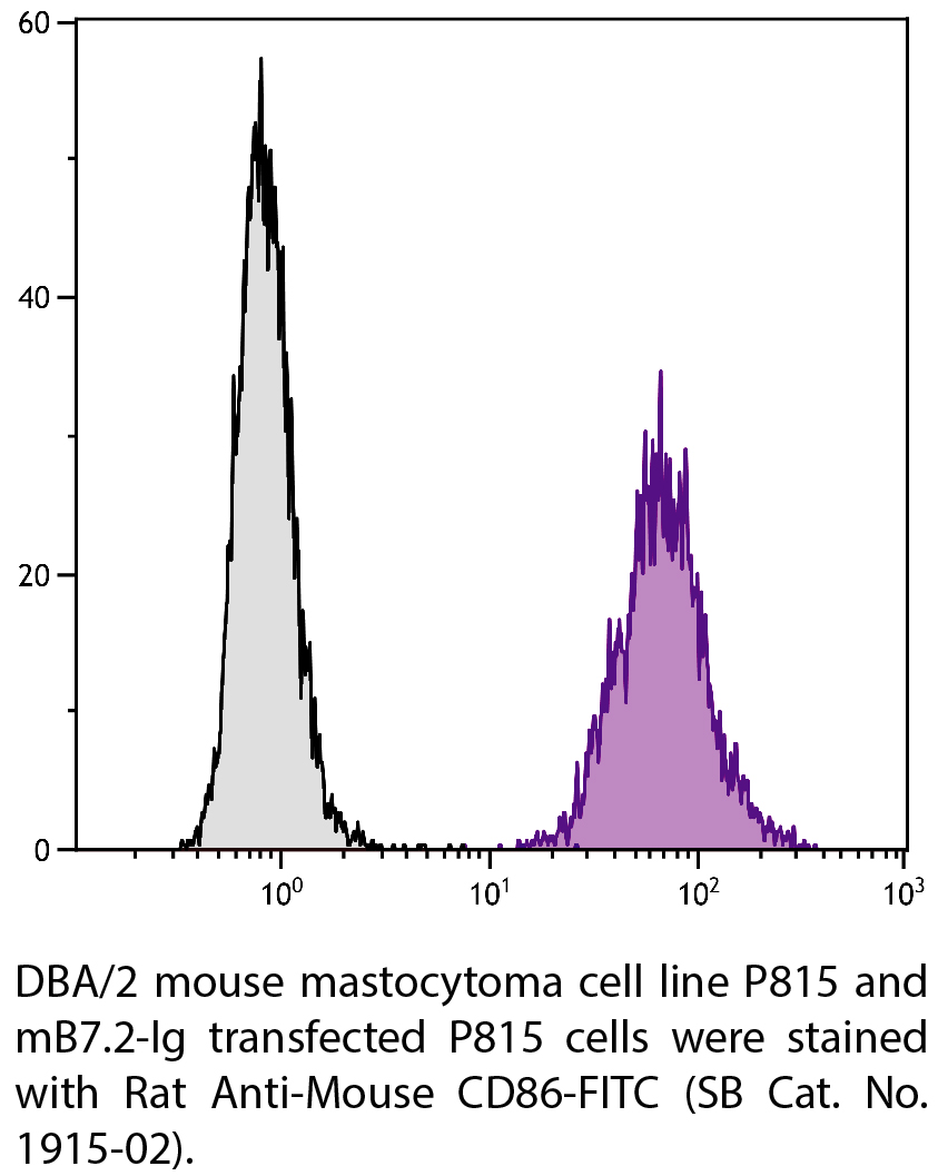 Rat Anti-Mouse CD86-FITC - 0.5 mg