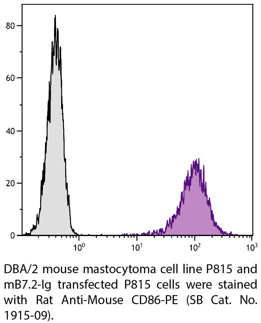 Rat Anti-Mouse CD86-PE - 0.1 mg