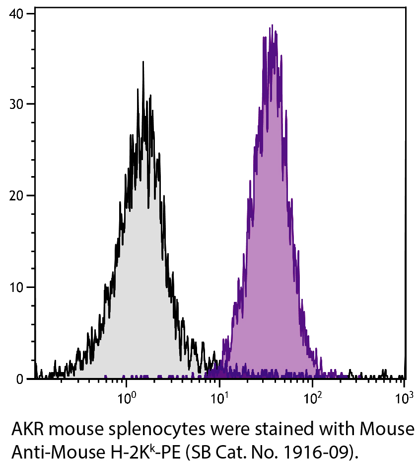 Mouse Anti-Mouse H-2Kk-PE - 0.1 mg