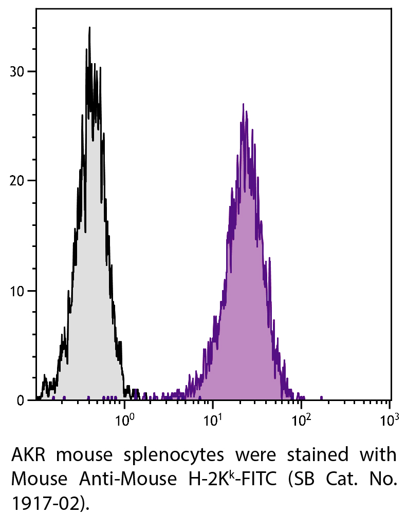 Mouse Anti-Mouse H-2Kk-FITC - 0.5 mg