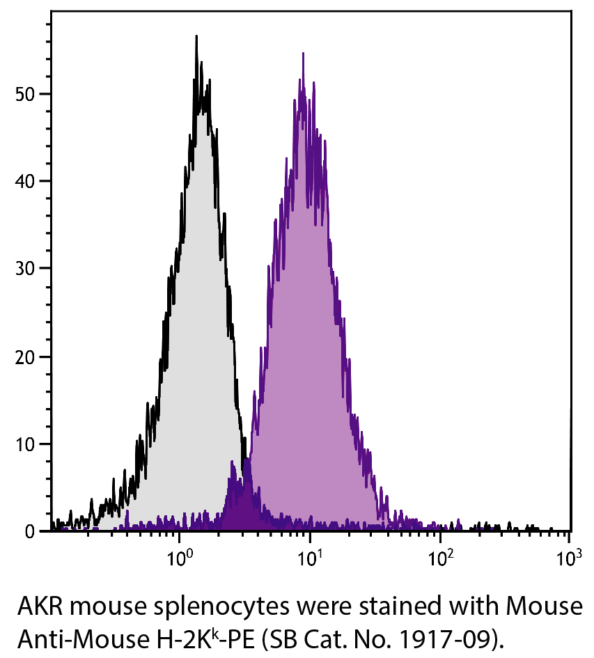 Mouse Anti-Mouse H-2Kk-PE - 0.1 mg