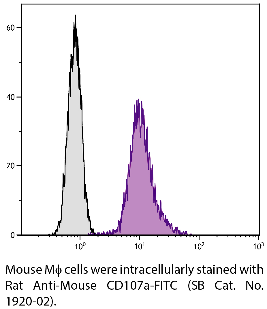 Rat Anti-Mouse CD107a-FITC - 0.5 mg