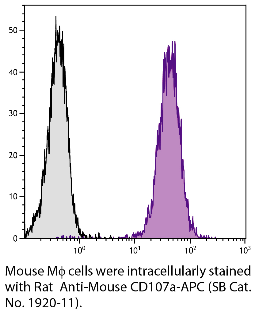 Rat Anti-Mouse CD107a-APC - 0.1 mg