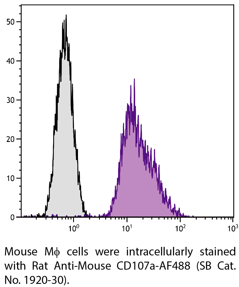 Rat Anti-Mouse CD107a-AF488 - 0.1 mg