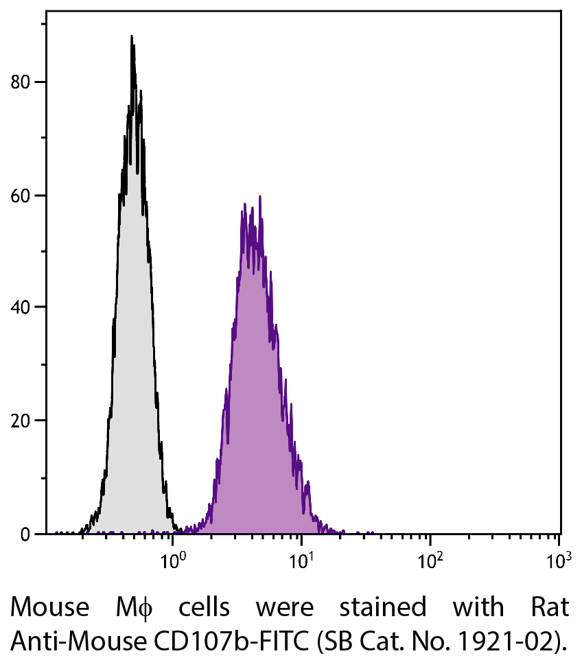 Rat Anti-Mouse CD107b-FITC - 0.5 mg