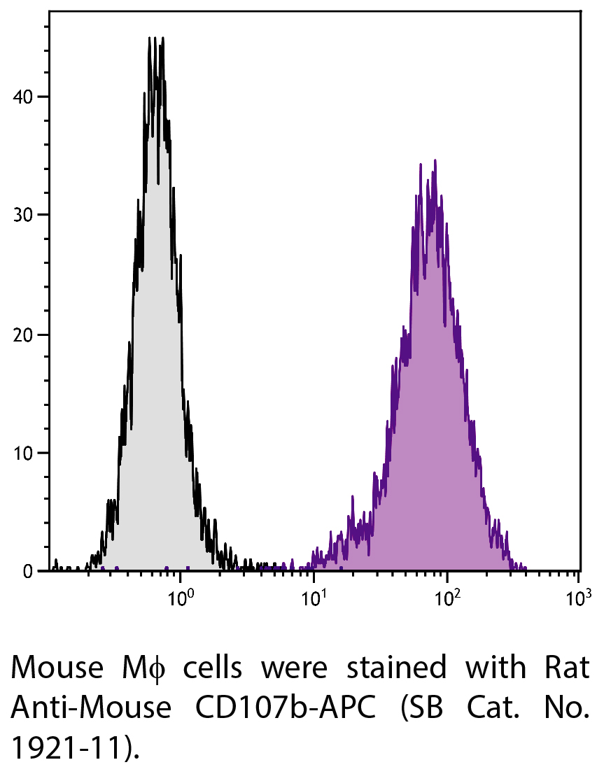 Rat Anti-Mouse CD107b-APC - 0.1 mg