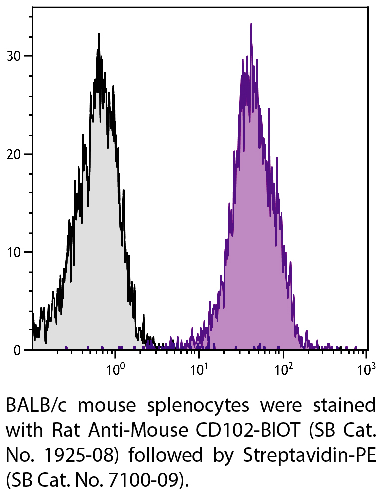 Rat Anti-Mouse CD102-BIOT - 0.5 mg