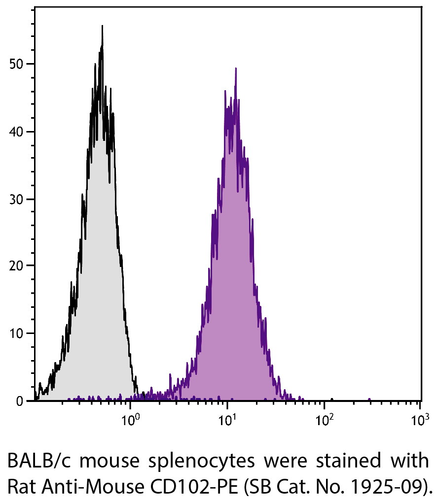 Rat Anti-Mouse CD102-PE - 0.1 mg