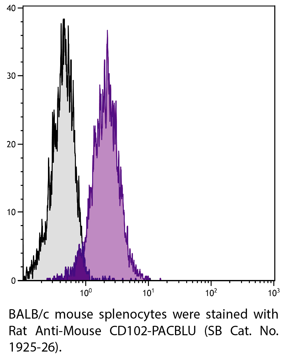 Rat Anti-Mouse CD102-PACBLU - 0.1 mg