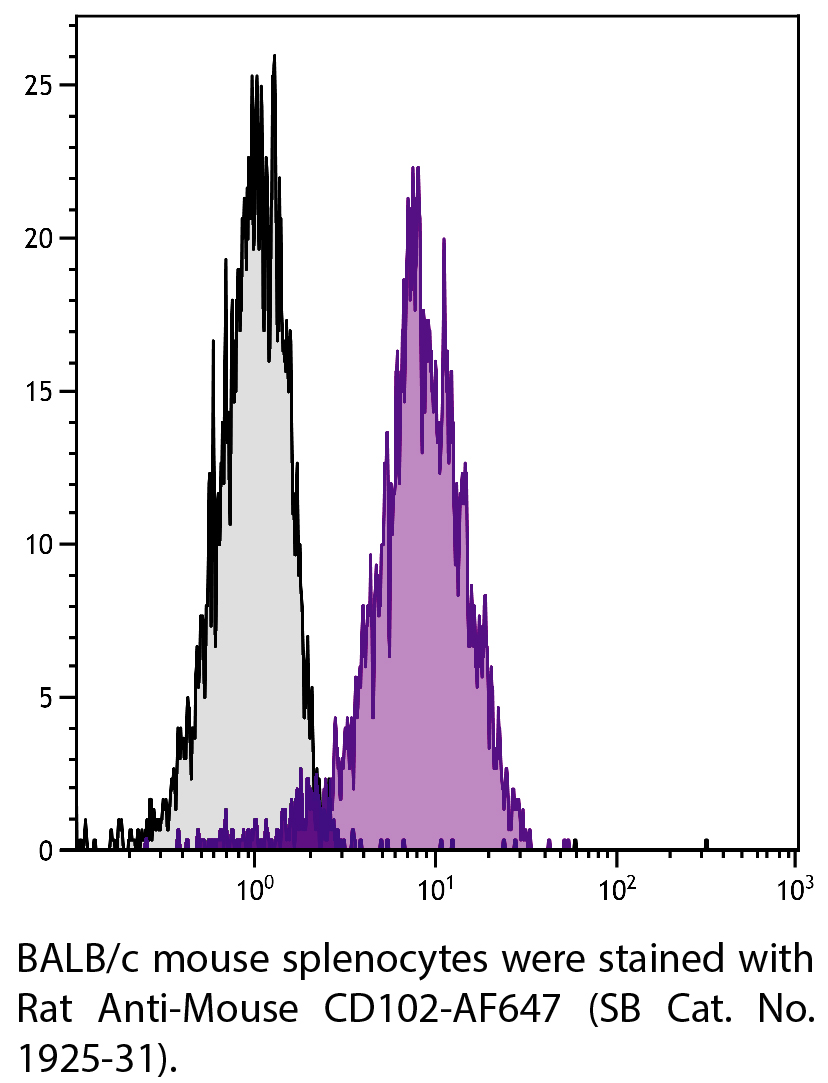 Rat Anti-Mouse CD102-AF647 - 0.1 mg