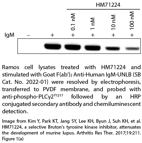 Goat F(ab')2 Anti-Human IgM-UNLB - 0.5 mg