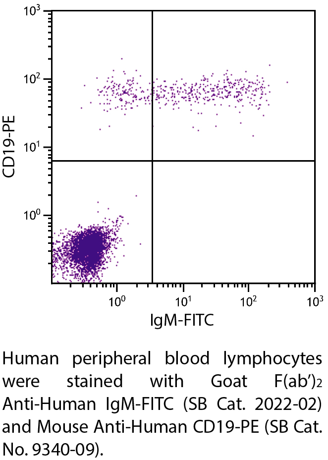 Goat F(ab')2 Anti-Human IgM-FITC - 0.5 mg