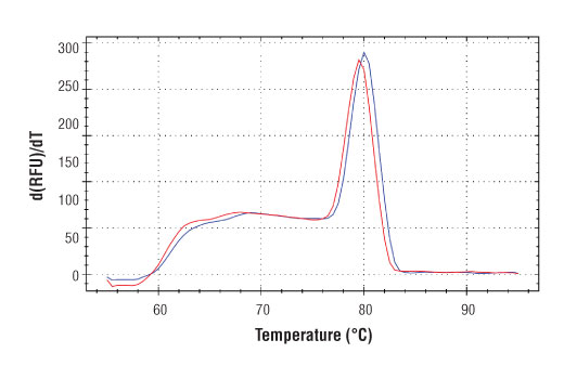 SimpleChIP® Human PTMA Downstream Primers - 500 ul