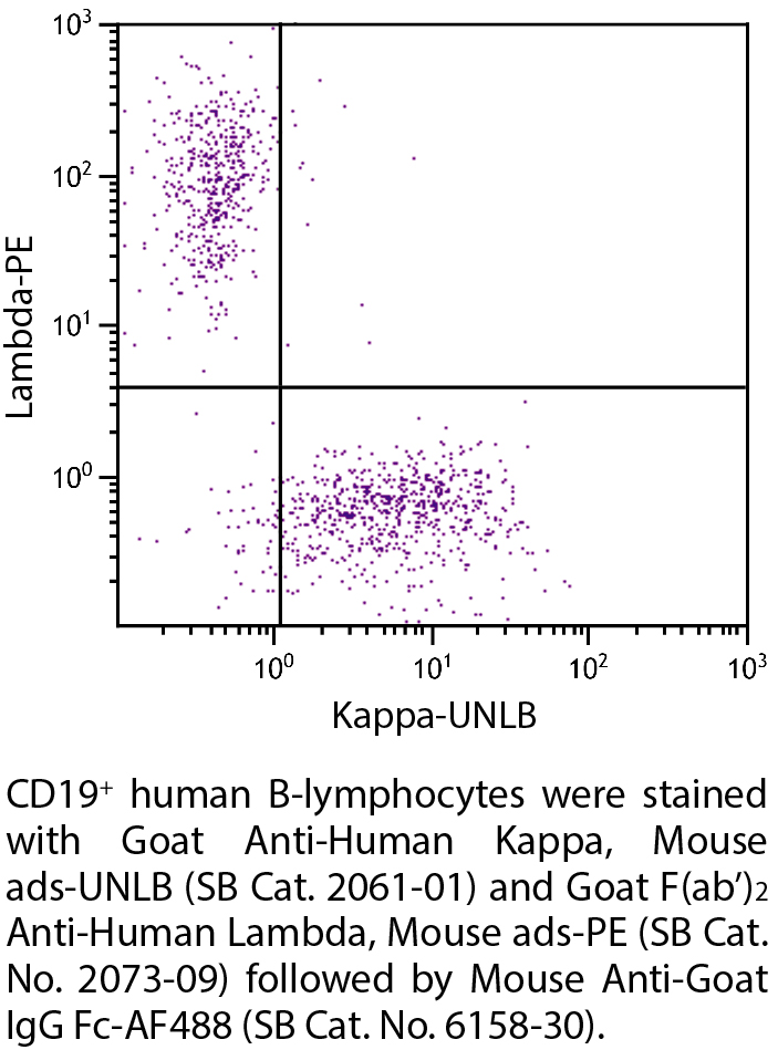 Goat Anti-Human Kappa, Mouse ads-UNLB - 1.0 mg