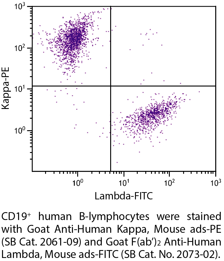 Goat Anti-Human Kappa, Mouse ads-PE - 0.5 mg