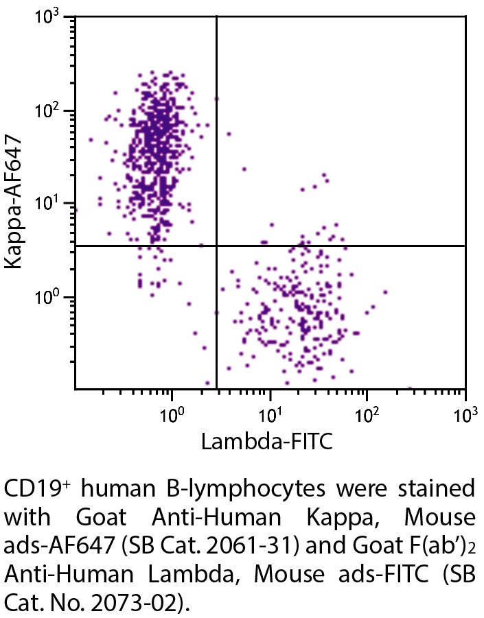 Goat Anti-Human Kappa, Mouse ads-AF647 - 1.0 mg