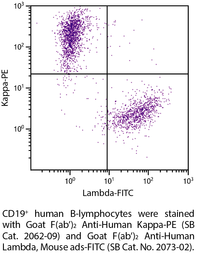 Goat F(ab')2 Anti-Human Kappa-PE - 0.25 mg
