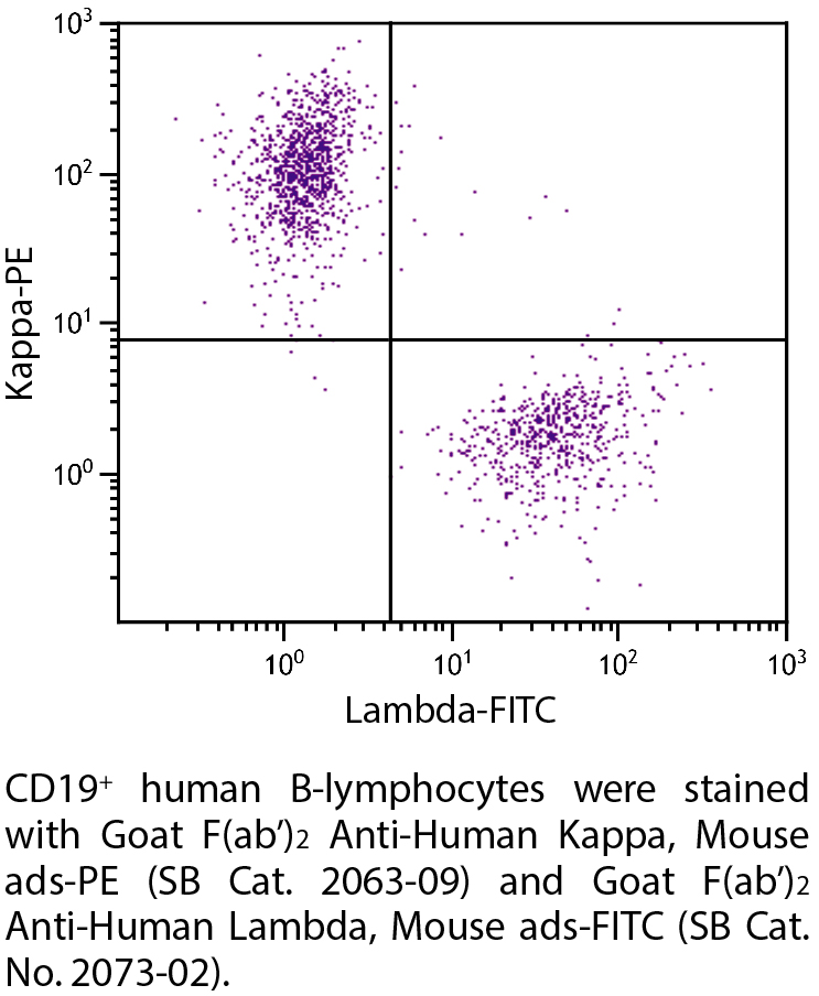 Goat F(ab')2 Anti-Human Kappa, Mouse ads-PE - 0.25 mg