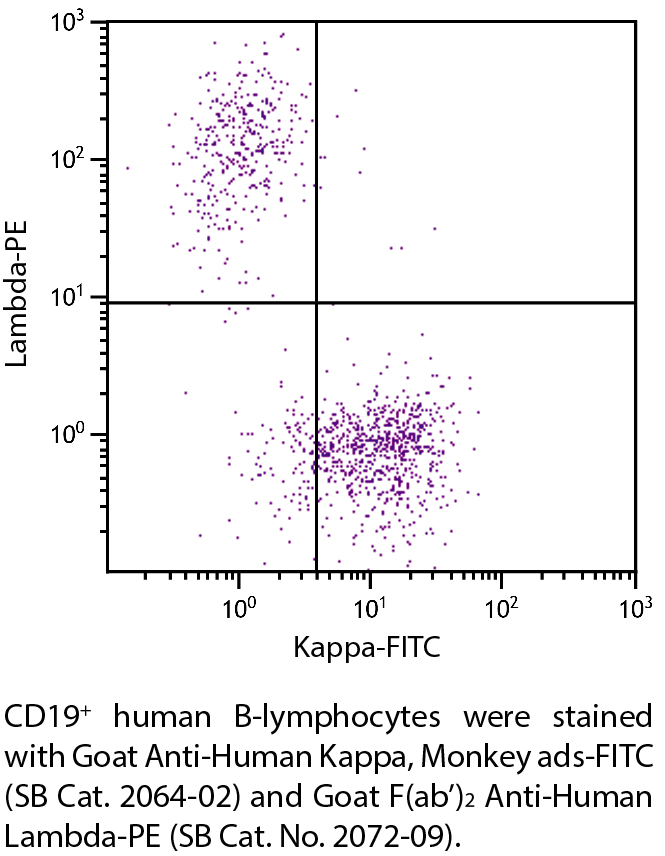 Goat Anti-Human Kappa, Monkey ads-FITC - 0.5 mg