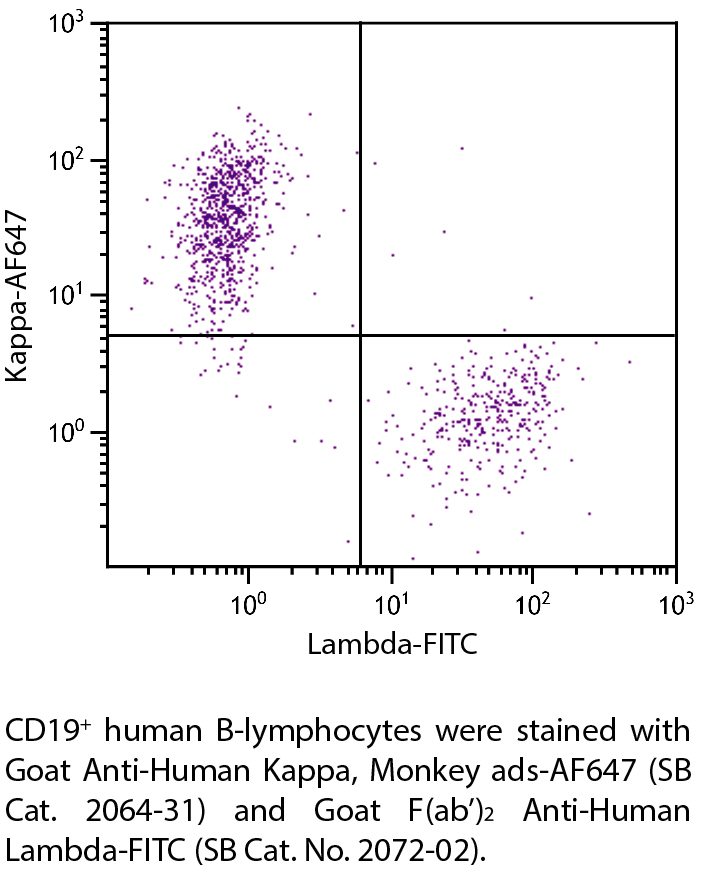 Goat Anti-Human Kappa, Monkey ads-AF647 - 0.5 mg