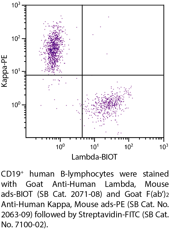 Goat Anti-Human Lambda, Mouse ads-BIOT - 1.0 mg