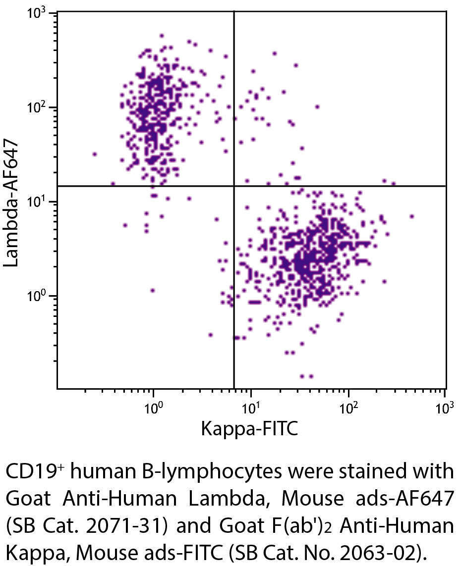 Goat Anti-Human Lambda, Mouse ads-AF647 - 1.0 mg