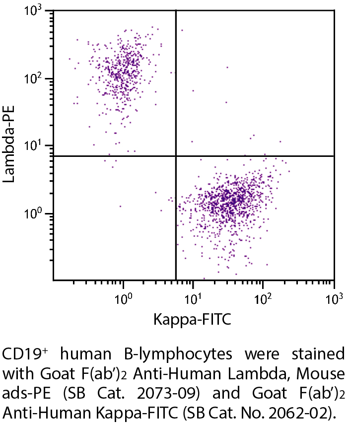 Goat F(ab')2 Anti-Human Lambda, Mouse ads-PE - 0.25 mg