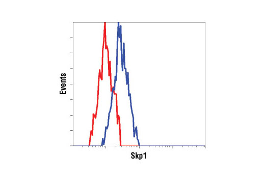 Protein Folding and Stability Antibody Sampler Kit - 1 Kit