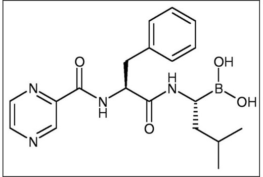 Bortezomib - 2.5 mg