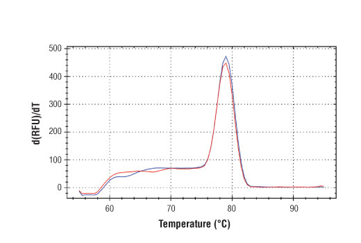 SimpleChIP® Human c-Fos Upstream Primers - 500 ul