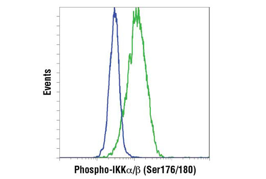 NF-κB Non-Canonical Pathway Antibody Sampler Kit - 1 Kit