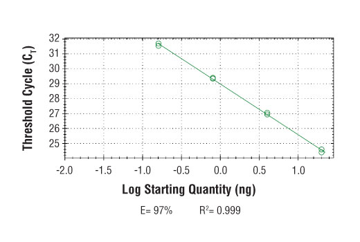 SimpleChIP® Human GLA Promoter Primers - 500 ul