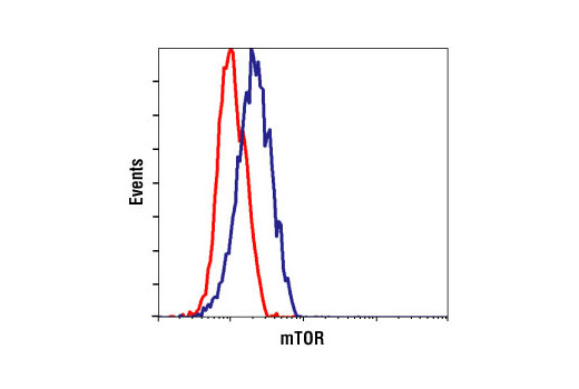 mTOR Regulation Antibody Sampler Kit - 1 Kit