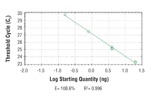 SimpleChIP® Mouse SLA2 Promoter Primers - 500 ul