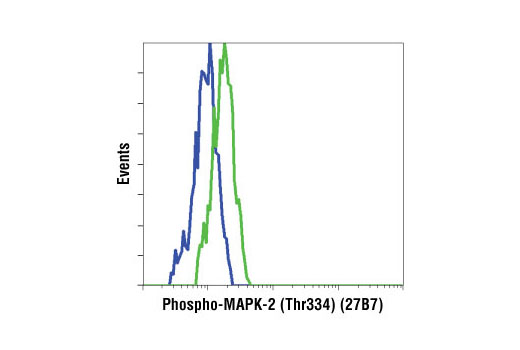 MAPKAPK-2 Antibody Sampler Kit - 1 Kit