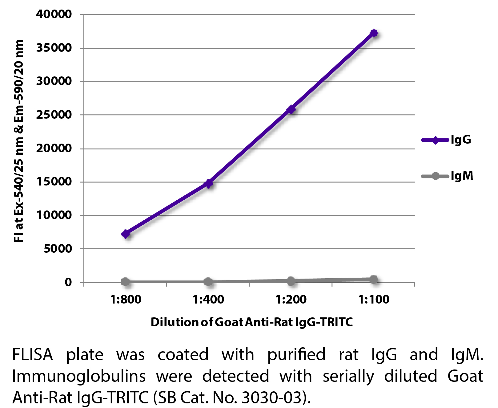 Goat Anti-Rat IgG-TRITC - 1.0 mg