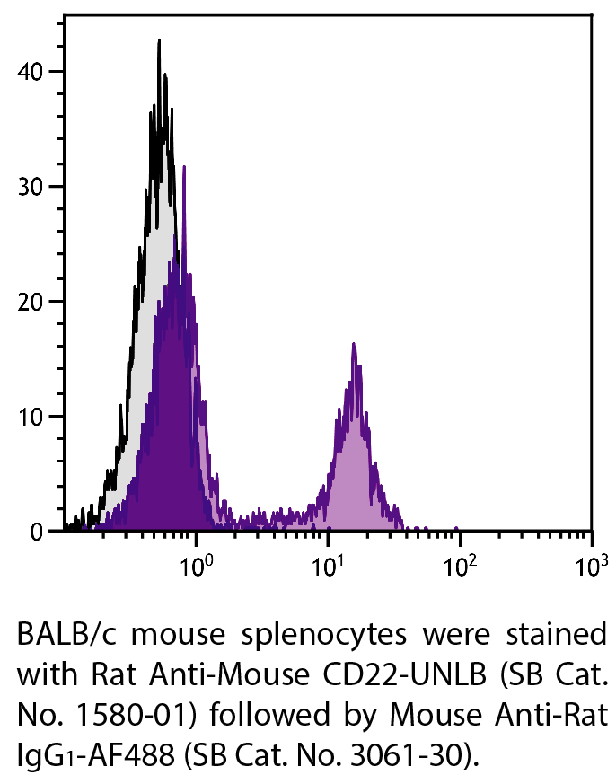 Mouse Anti-Rat IgG1-AF488 - 0.1 mg