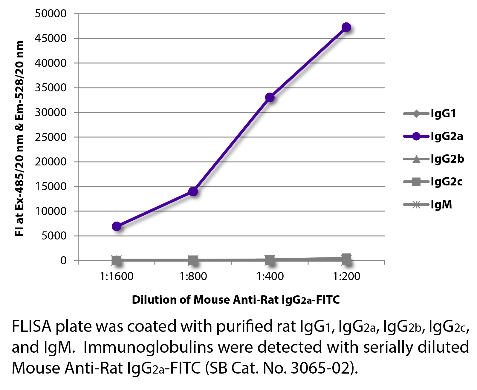 Mouse Anti-Rat IgG2a-FITC - 0.5 mg