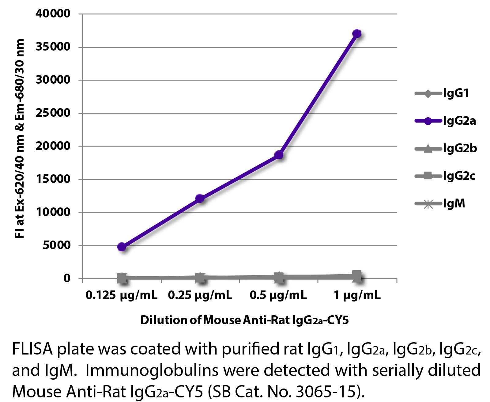 Mouse Anti-Rat IgG2a-CY5 - 0.1 mg