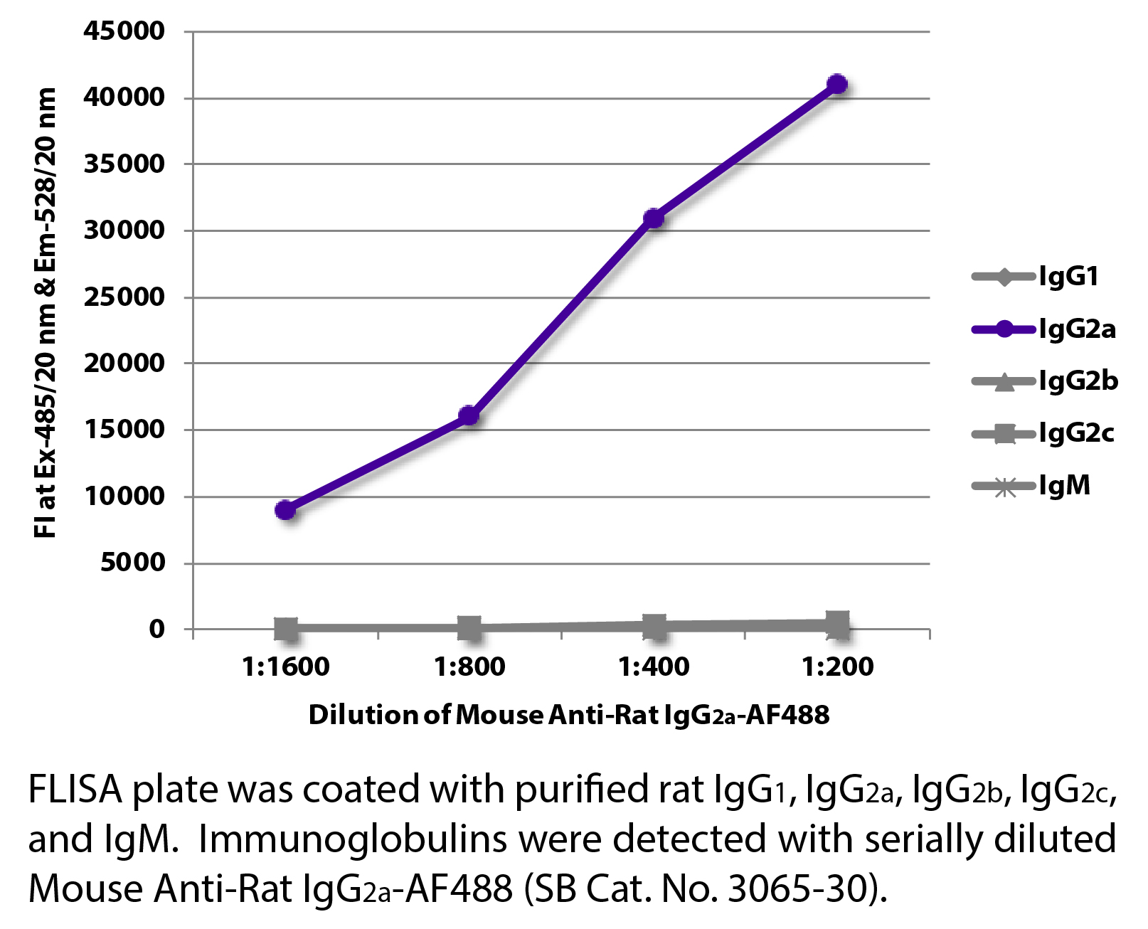 Mouse Anti-Rat IgG2a-AF488 - 0.1 mg