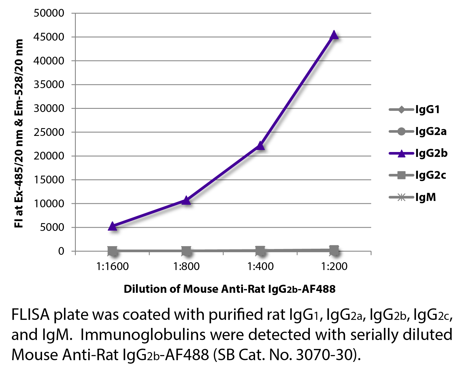 Mouse Anti-Rat IgG2b-AF488 - 0.1 mg