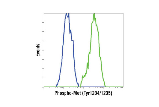 PhosphoPlus® Met (Tyr1234/Tyr1235) Antibody Duet - 1 Kit