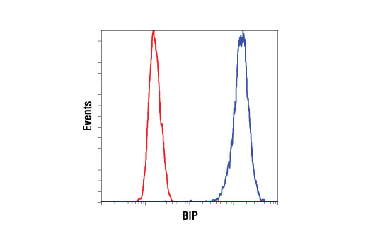 ER Protein Folding Antibody Sampler Kit - 1 Kit